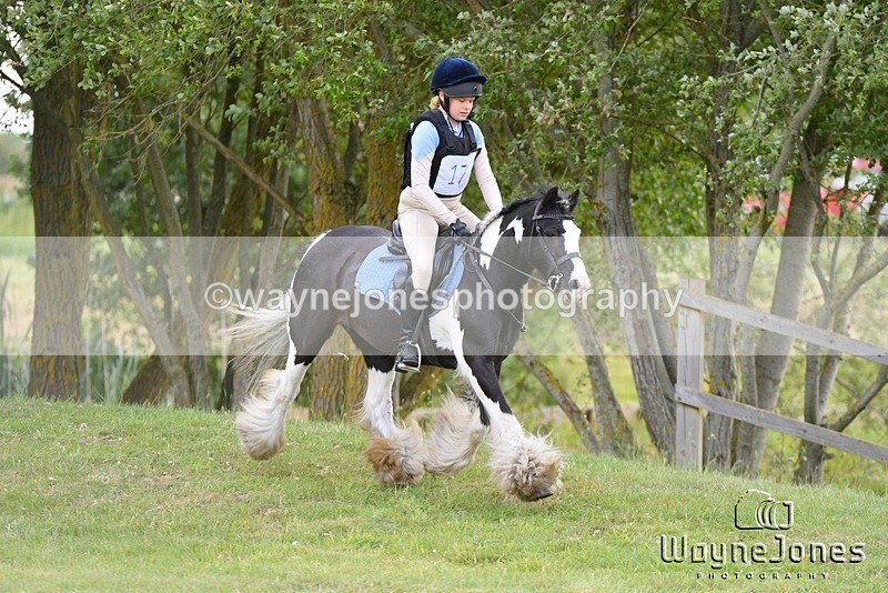 WJ5_2745 - Edited examples