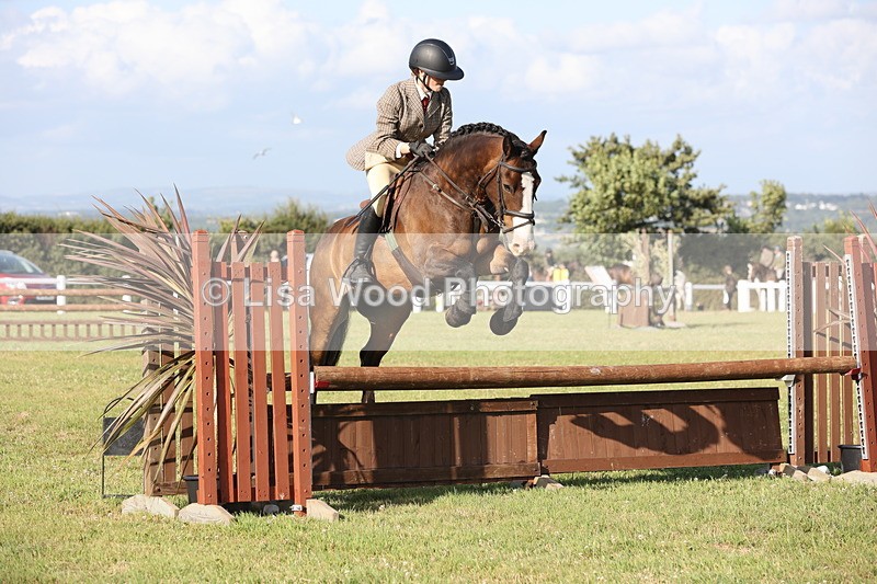 JPP_3210 - Class 21: Working Hunter 80cm