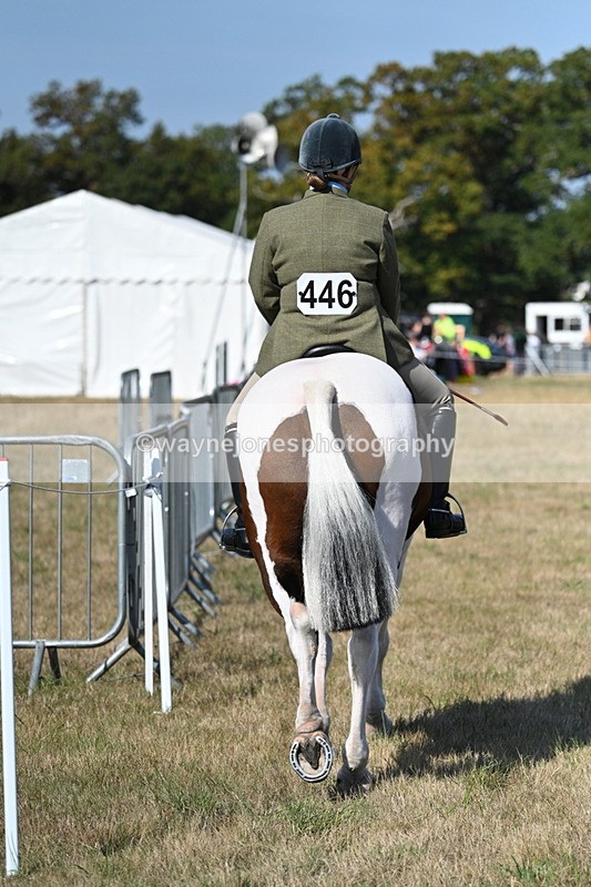 WJ7_3098 - Class 8 Ridden Tack & Turnout