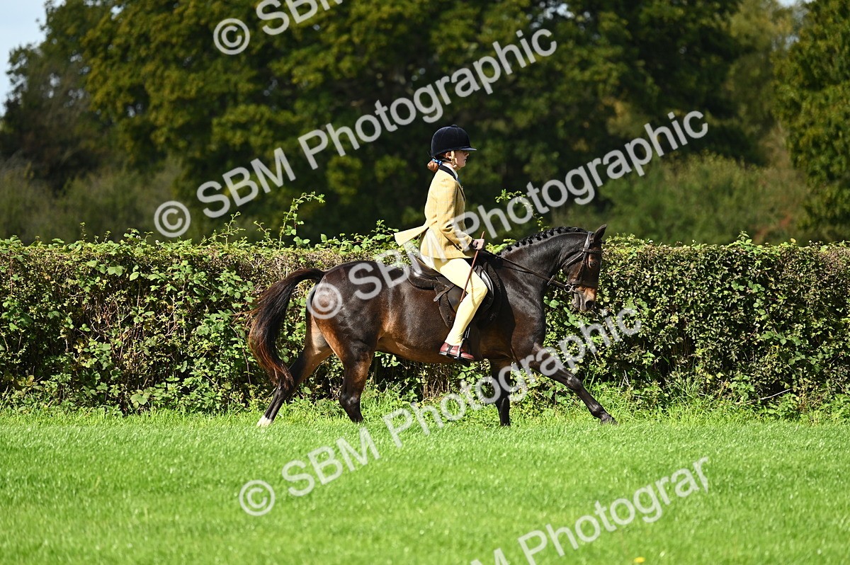 SBM_02677 - S3 - TSR Ridden Pony Showing