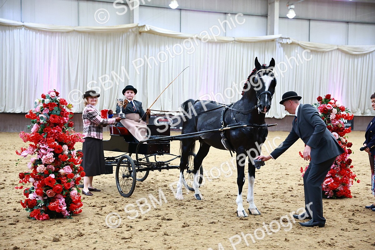 0B8A3919 - Class 13  - HHS Championship Intl Hackney Horse to a Show Wagon