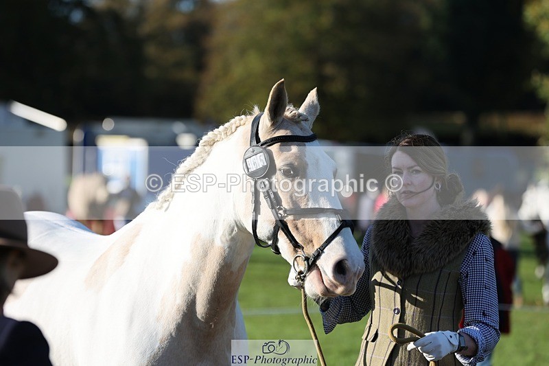 241027-091554-15167 - 465-Clare.Pascoe-MR.QUINN