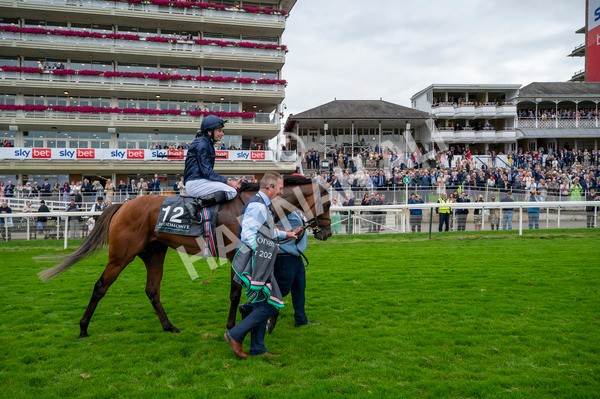 210824-Race 4-City Of Troy-5190 - Race 4 3.35pm Juddmonte International Stakes