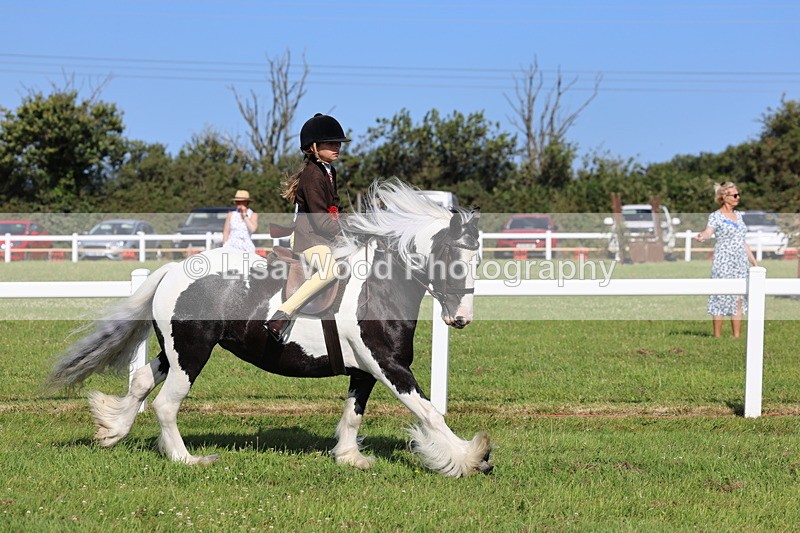 IMG_1639 - Skewbald and Piebald Ridden Championship