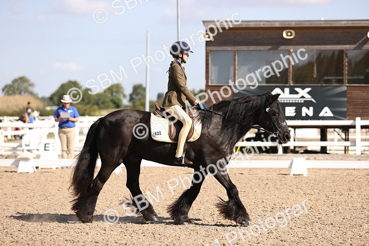 SBM_03473 - CLass 35 Intro 3