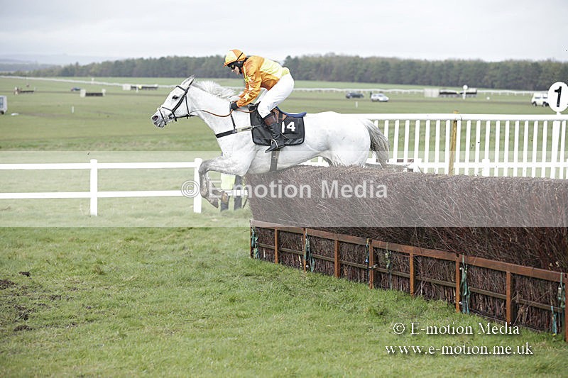 PtP 150320 0423 - New Forest Point-to-Point Larkhill 15/03/20