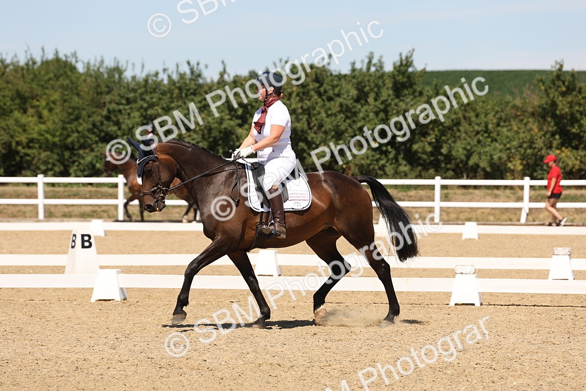 SBM_002753 - Elementary 4