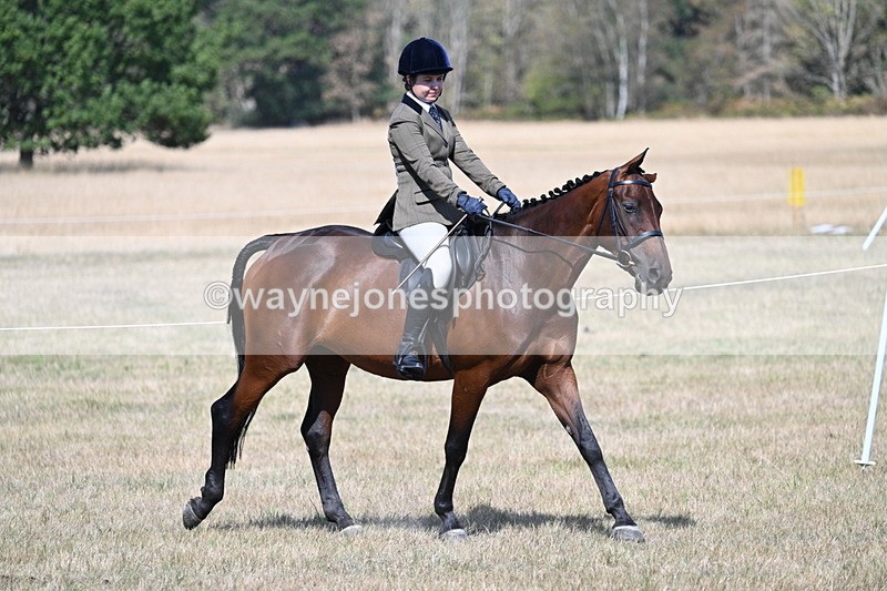 WJ7_1166 - Class 41 Prettiest Mare