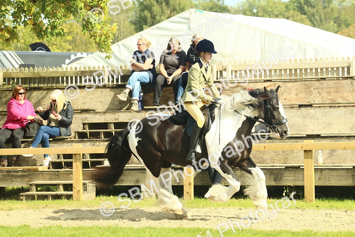 SBM_67611 - S56 - Coloured Pony Ridden