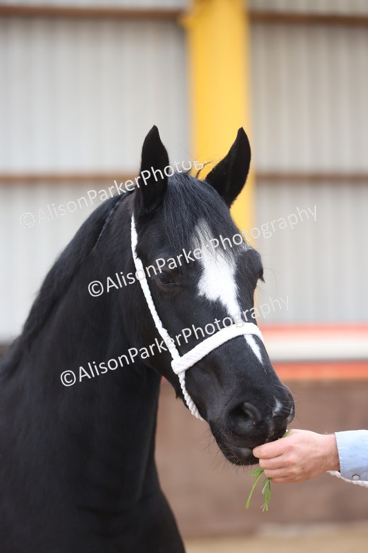 20251109-0941 - Class 26 - 2 and 4 Year Olds