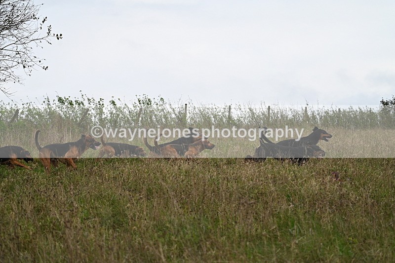 WJ7_9820 - Camera 1 & Last fence