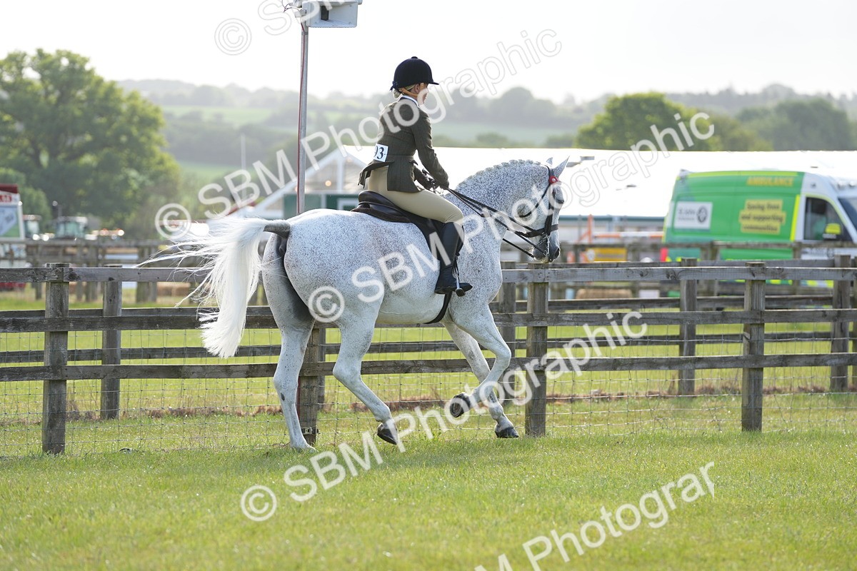 SBM_10482 - Class 97-98 - LIHS BSHA Rising Star Working Show Horse Hunter