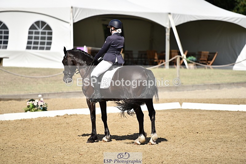 140110A-050048-12350 - 168-Samantha.Pring-Tongwynlais.Moon.Dancer