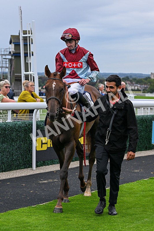 290826-Race 5-Supreme Clarets-7427 - Race 5 4.10pm Churchill Tyres Handicap