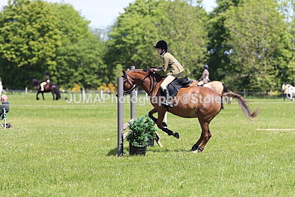 IMG_3627 - Working Hunter