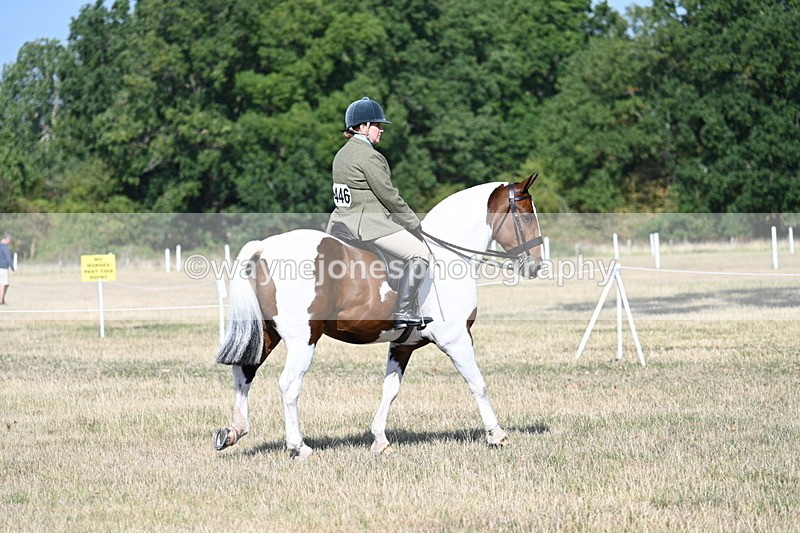 WJ7_2768 - Class 8 Ridden Tack & Turnout