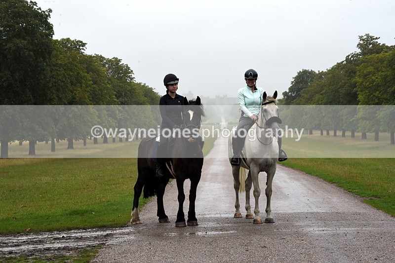 TT3_8373 - Time at Crossing 10:16 to 11:38