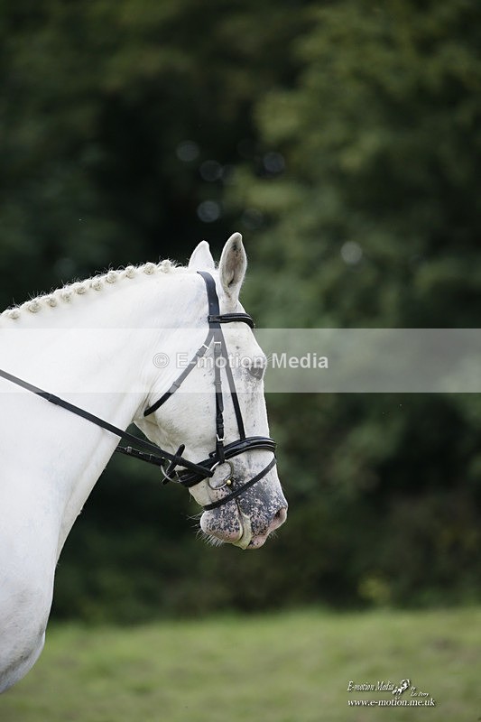 BVRC 120921 350 - Bourne Valley Riding Club UA Dressage & Show Jumping 12/09/21