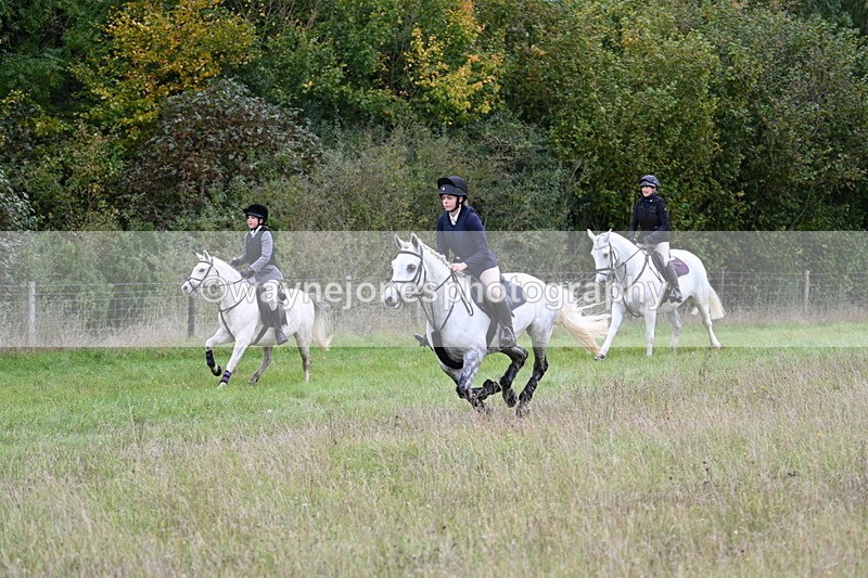 WJ7_3790 - Camera 1 Line 1