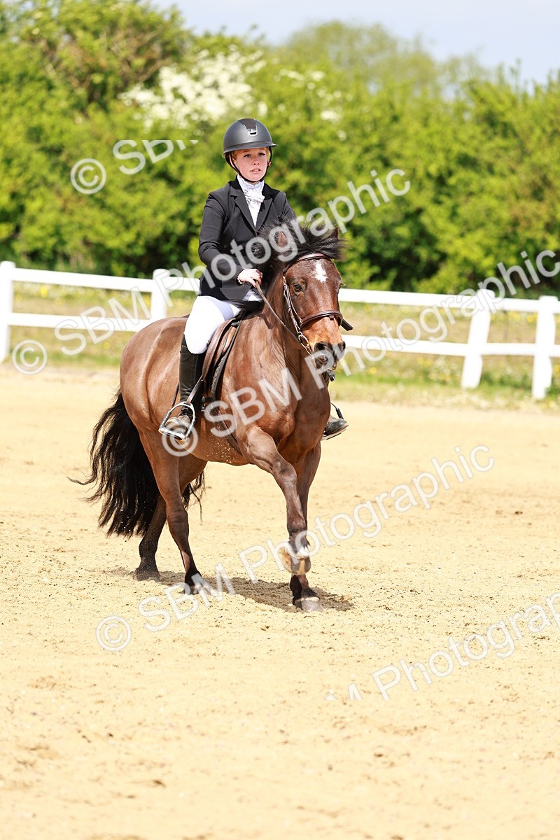 SBM_007951 - Class 3 - 60cm