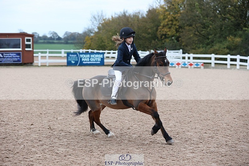 241116X-083723-00121 - Cls 03 Pony Intro 70cm