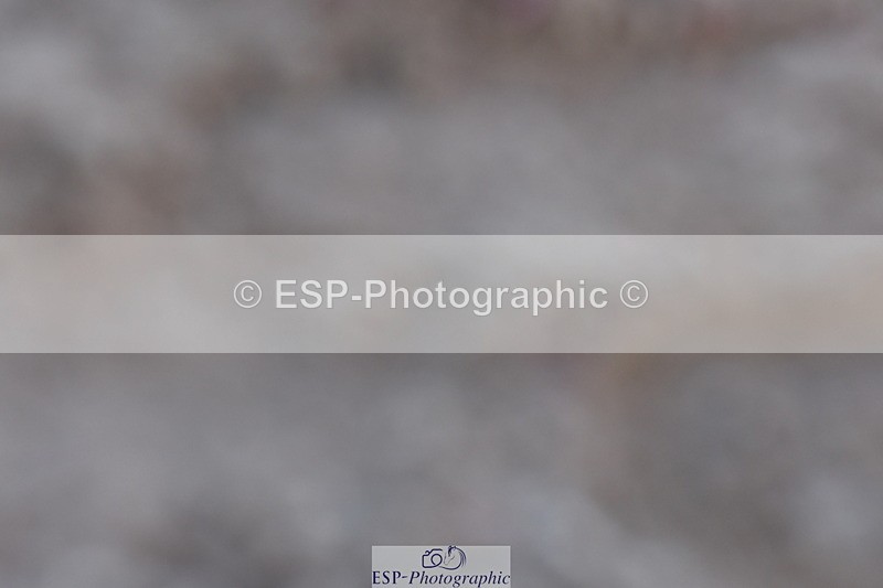 240107A-123909-01611 - UnAff Prelim 14