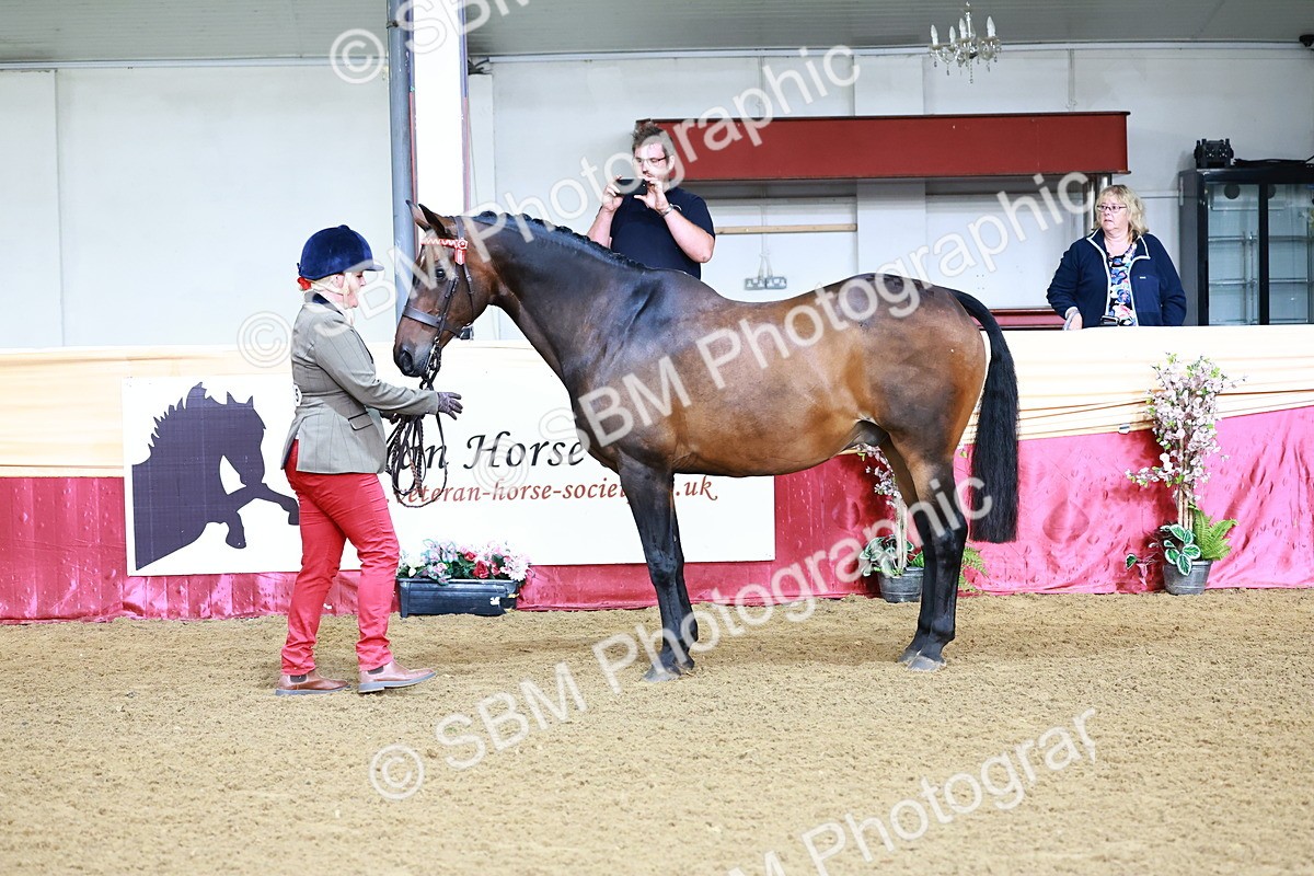 SBM_21702 - Class 901 - Supreme Final - IH  Diamond