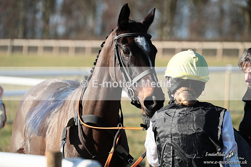 PR PtP 240126 535 - Pony Racing Horseheath 24/01/26