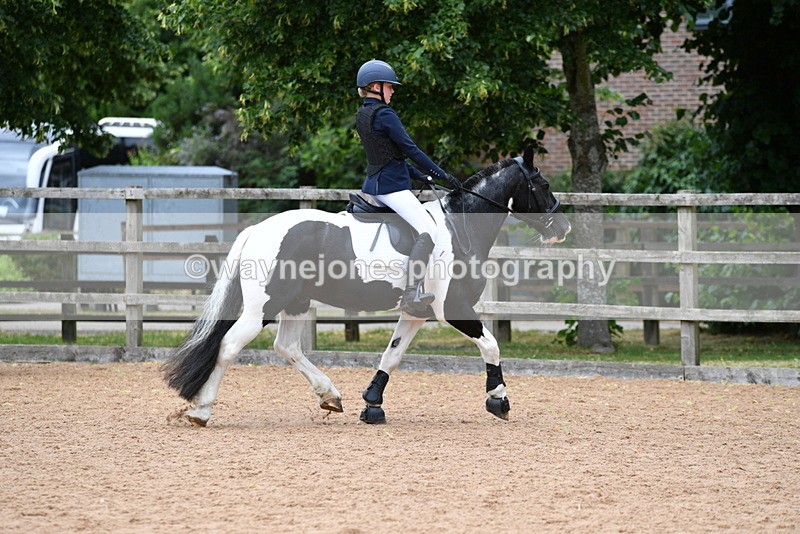 WJ5_6114 - Club 50cm