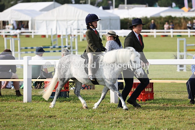 JPP_0177 - Class 14: Cornish Combination Leading Rein