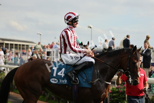 yr04092022r6-16 - Race 6 4.40pm Hanson Springs Stakes