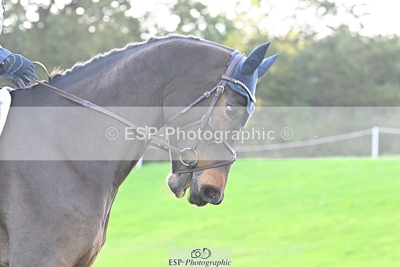 241025-145730-10140 - 458-Paige.Mcwilliams-FVS.CORRADO.MILLION