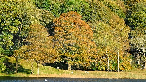 lll0119 - South Lakes