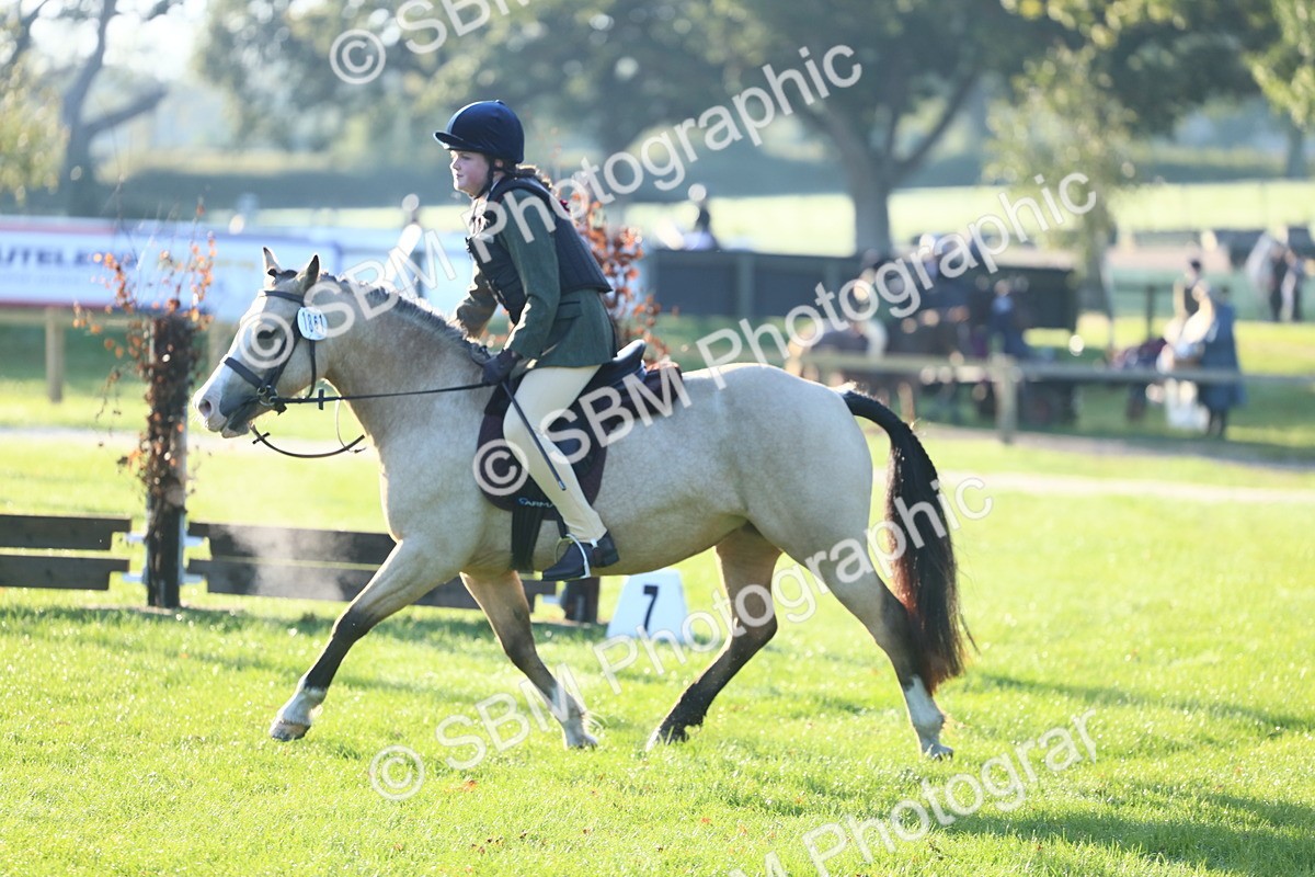SBM_31862 - S28 - Nursery Stakes Working Hunter Pony
