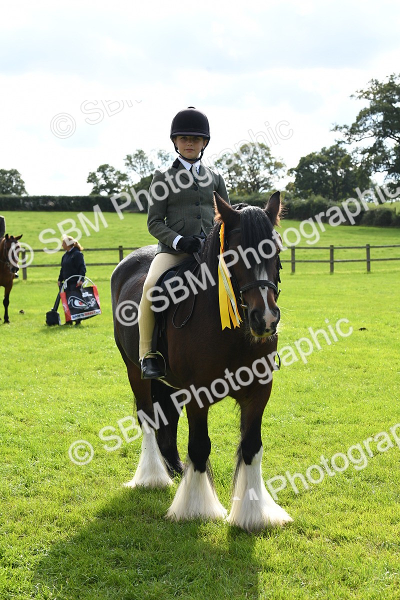 SBM_47255 - S12 - Family Horse & Pony