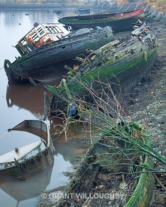 Old boat graveyard Bowling Harbour - Vertical Images