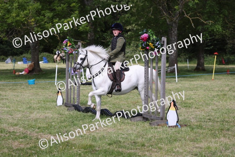 20260614-0721 - Class 20 - Beginners Working Hunter Pony