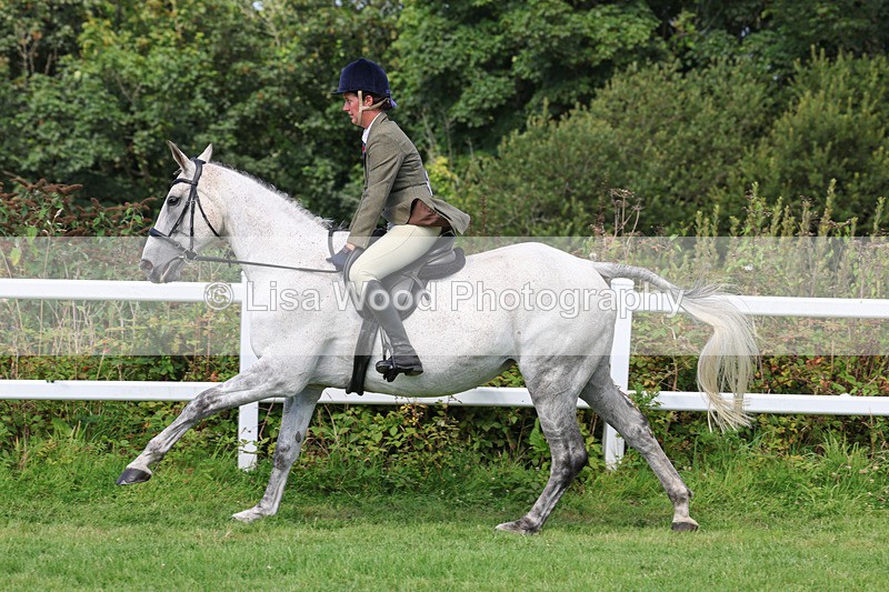 3E7A8728 - Class 5: Working Show Horse