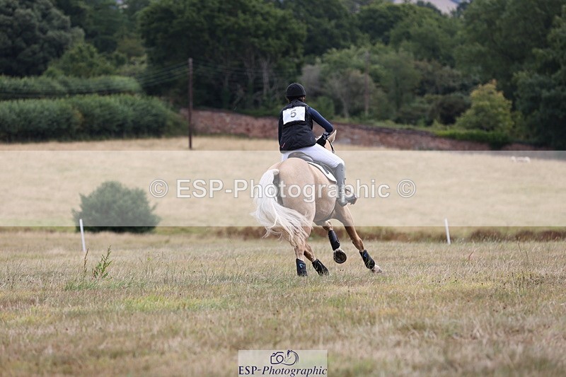 250802A-102350-00875 - A-005-Kate.Hicks-SWALLOWCROFT.STARDUST