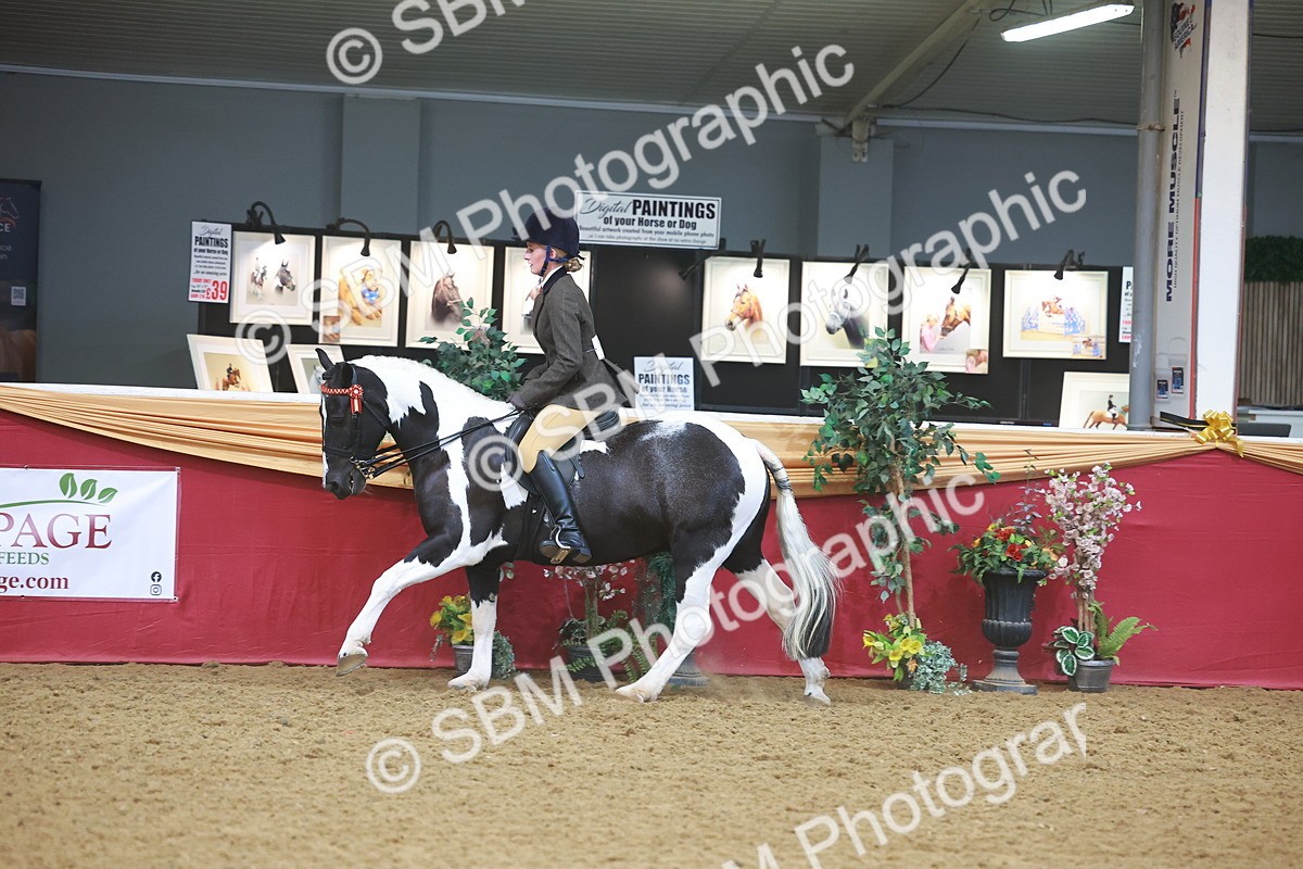 SBM_10561 - Class 103 - HOYS Veteran Qualifier - Ridden Pre Vet