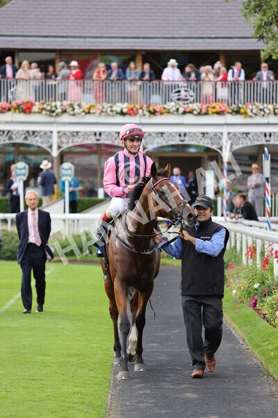 yr19082021r7-27 - Race 7 5.20pm British Stallion Studs EBF Fillies' Stakes