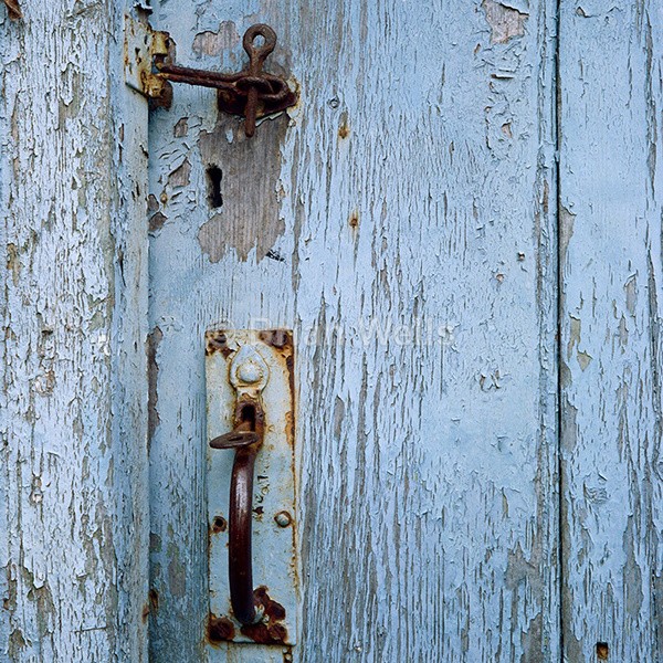 Shed Door - Miscellaneous Gallery