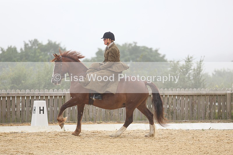 3E7A6890 - Class 5: Prelim to Music