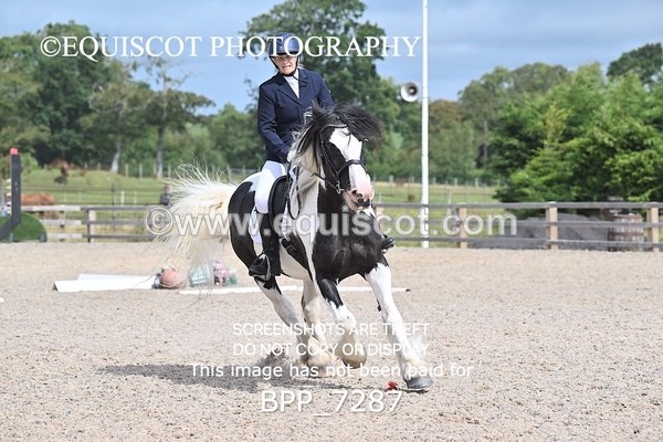 BPP_7287 - PRELIM 3
