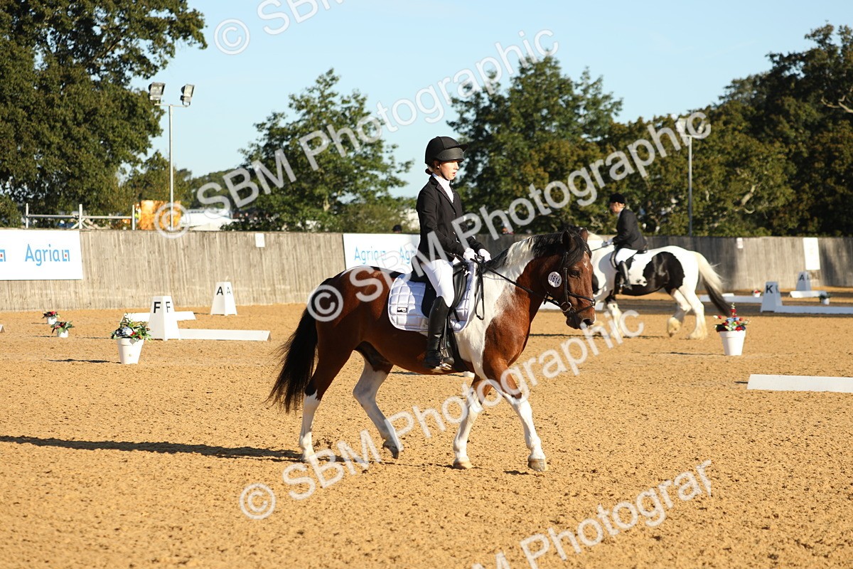 SBM_14177 - D10 - Small Tour Championship - Prelim 2