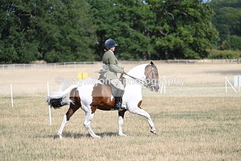 WJ7_7442 - Class 14 Ridden Coloured