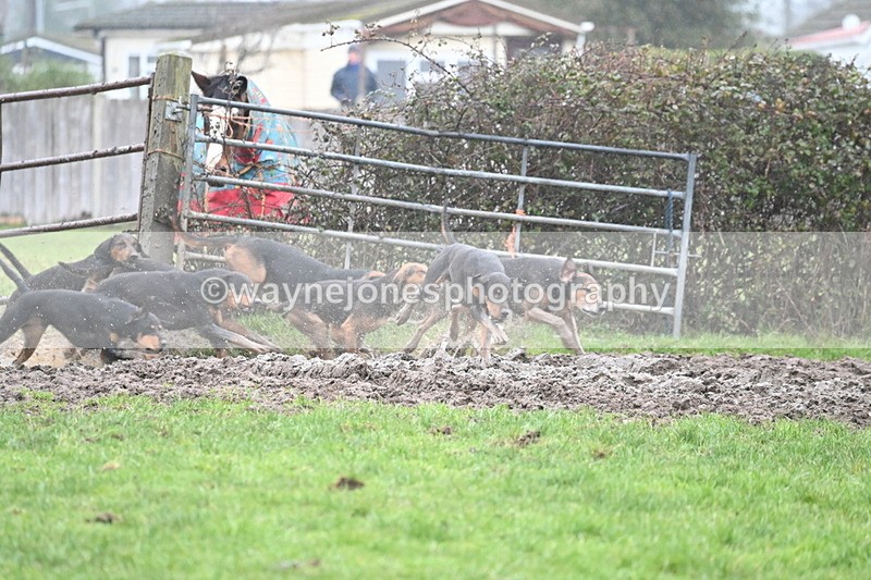WJ6_6537 - A Camera