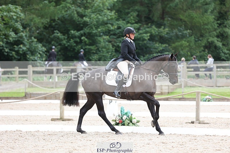 240524-170719-11221 - 376-STORM_BLUE_CURTIS-Phoebe_Buckley