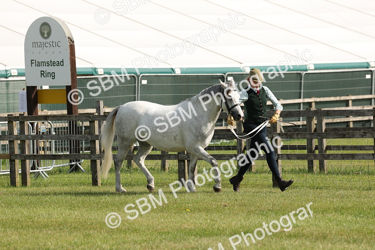 SBM_00733 - Class 6-13 - Mountatin and Moorland In Hand Welsh Breeds