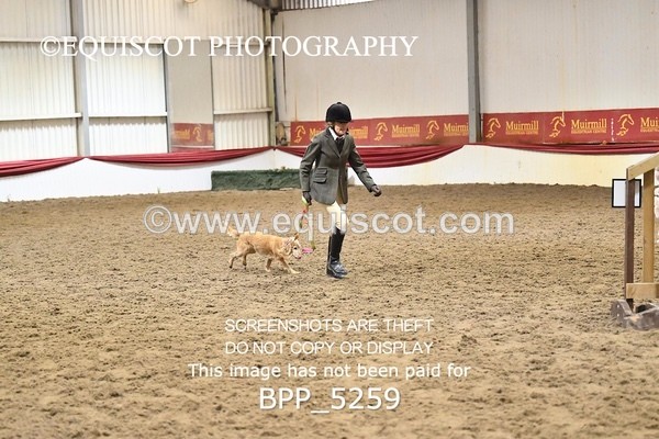 BPP_5259 - CLASS 5 HORSE AND HOUND